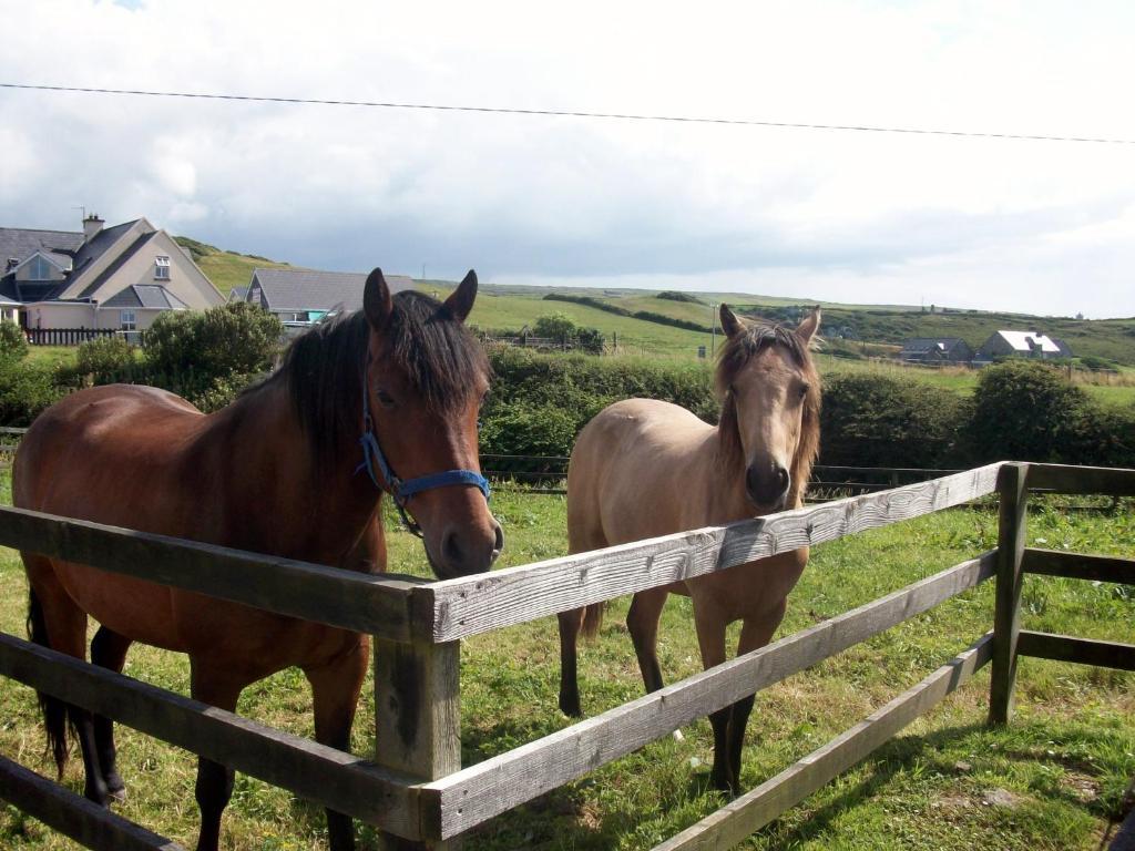 O'Connor'S Accommodation Doolin Exterior photo