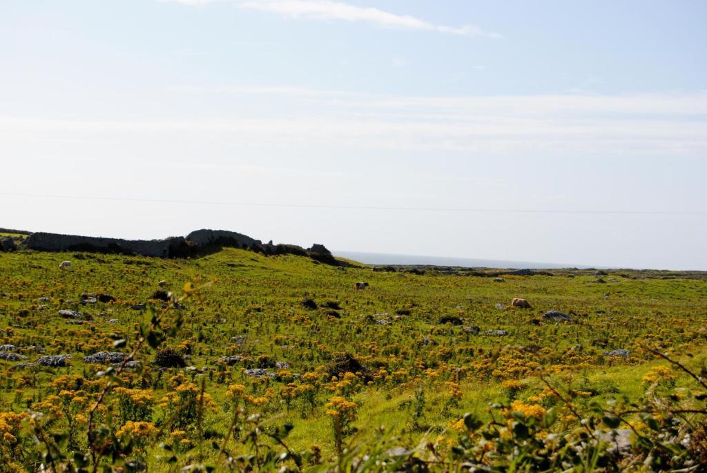 O'Connor'S Accommodation Doolin Exterior photo